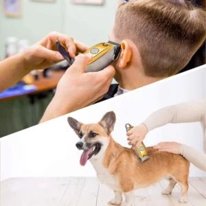 couper cheveux et poils de chien